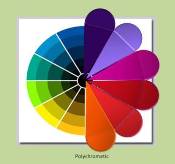 Color Schemes Polychromatic Color Wheel