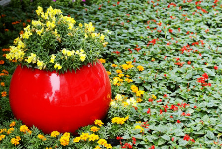 bright red planting container