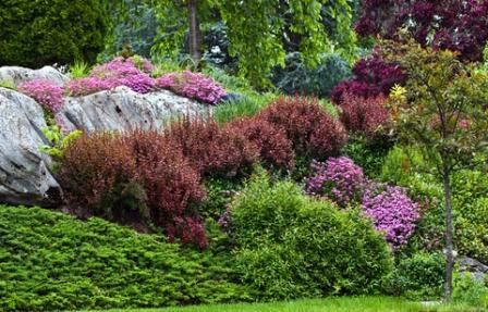 colorful plant combinations used as a garden focal point