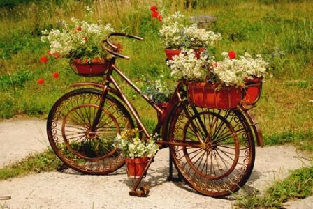 artistic old bicycle used as a garden focal point