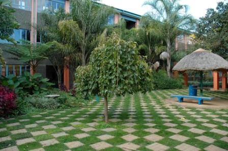 garden pavers used in an unusual manner to create a strong garden space