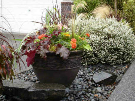 Container Garden Picture