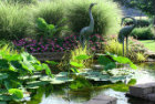 Garden Water Feature Dream Pd Lily Pond Home Link