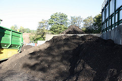 Gardening In Sandy Soil Compost