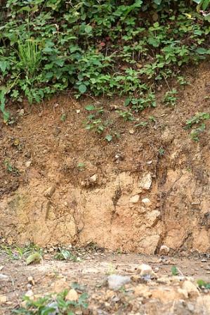 heavy clay soil picture