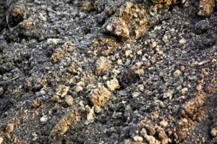 example of sandy soil