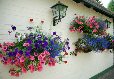 Add hanging baskets to your walls to add vertical interes
