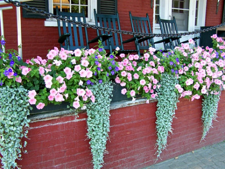 use planter boxes to enliven a garden wal