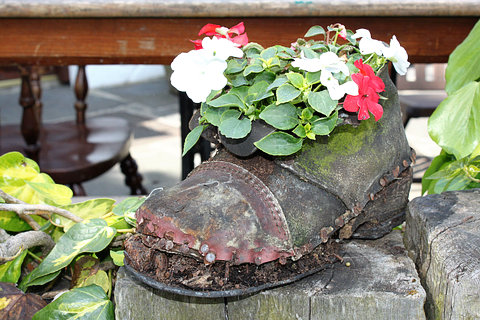 Salvaged Garden Shoe Planted with Impatiens