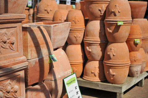Terra Cotta Pots for Sale