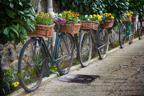 Bicycle Baskets used as planters