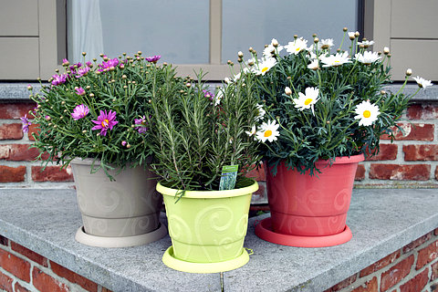garden container materials dreams pd small plastic pots