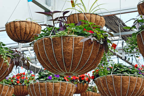 garden container materials dreams pd wire baskets garden center