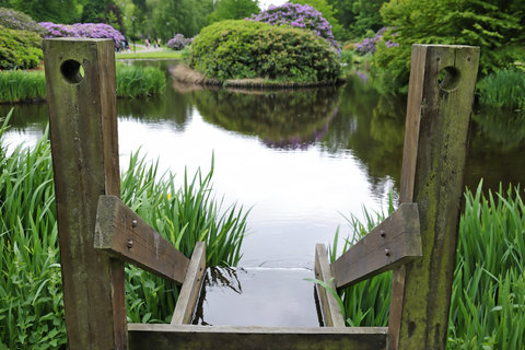Country Garden Pond